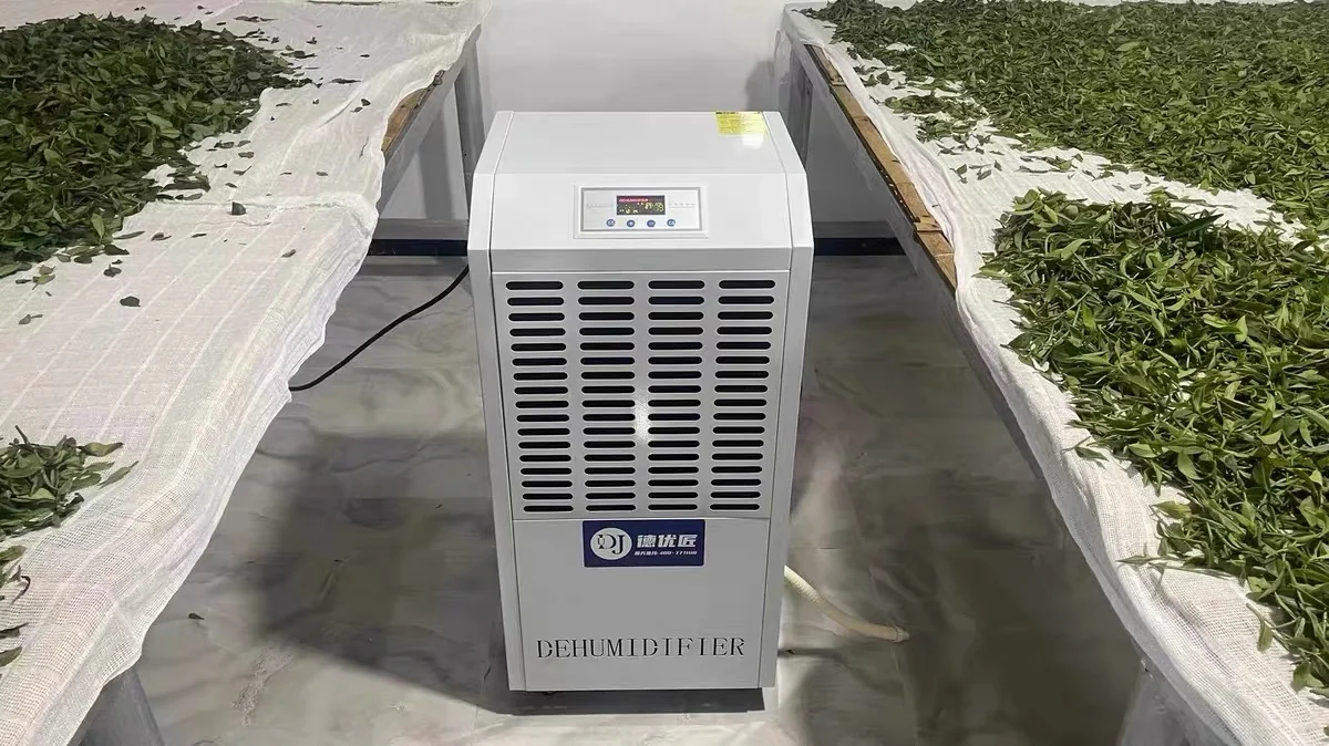 茶叶加工与摊晾排湿DY156、DY240、DY480 烘干除湿机现场图 2