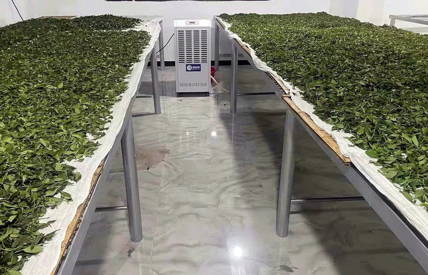 茶叶与农产品烘干空间内布置的工业除湿设备