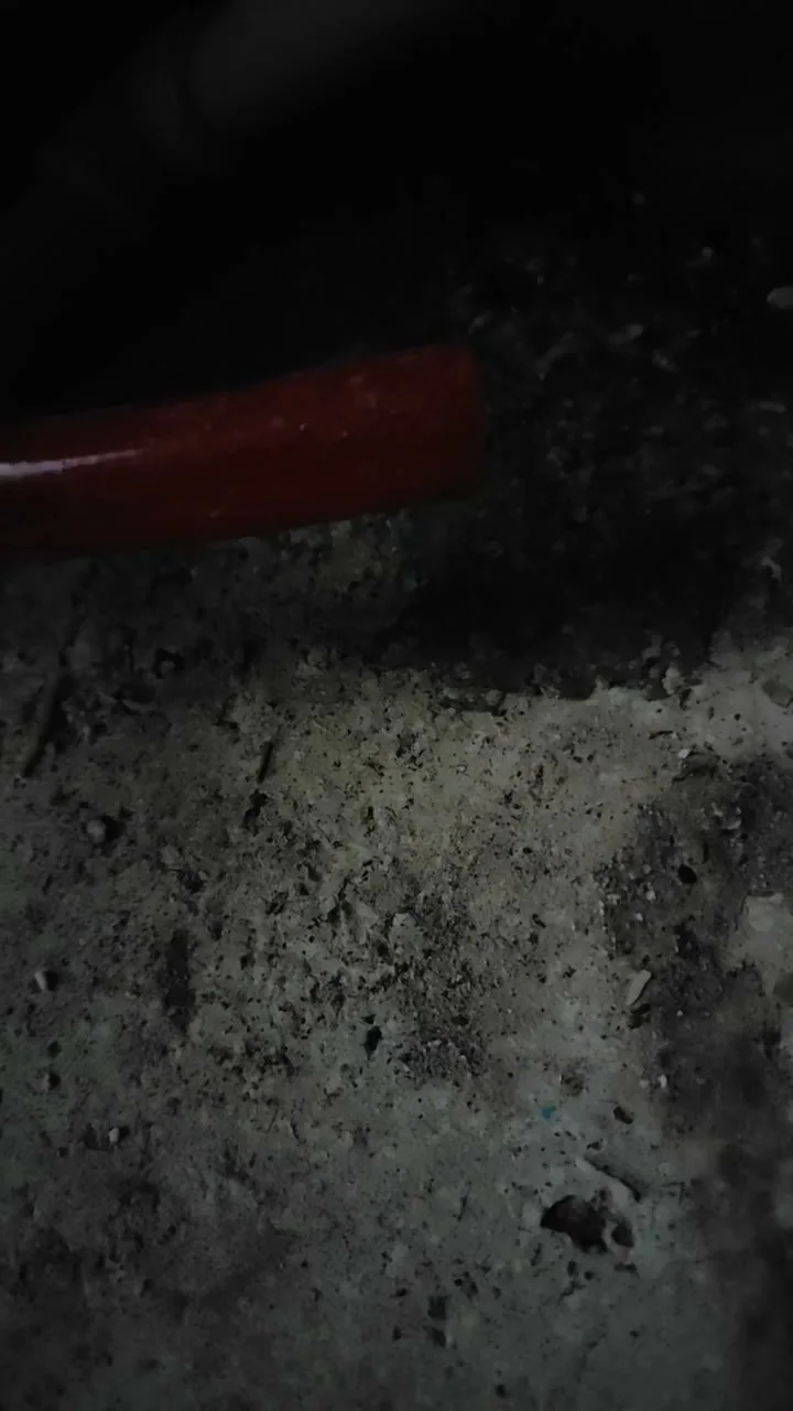 面条加工现场照片 3