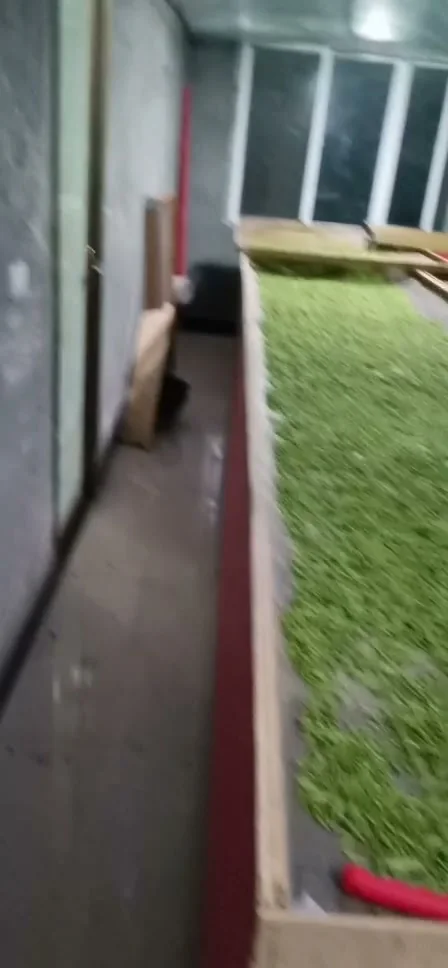 茶叶加工现场照片 3